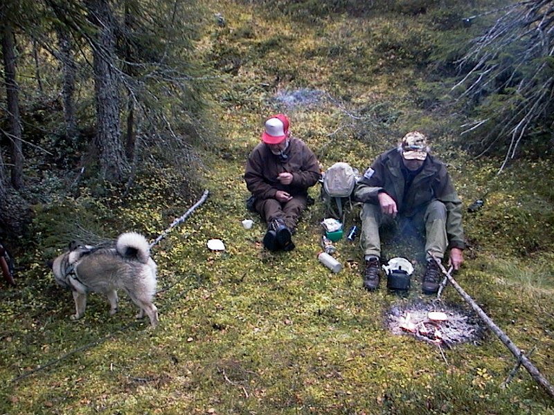 2000 Kneoksen Stakkjolen_3.jpg - Bofsy, Kåre og Gunnar